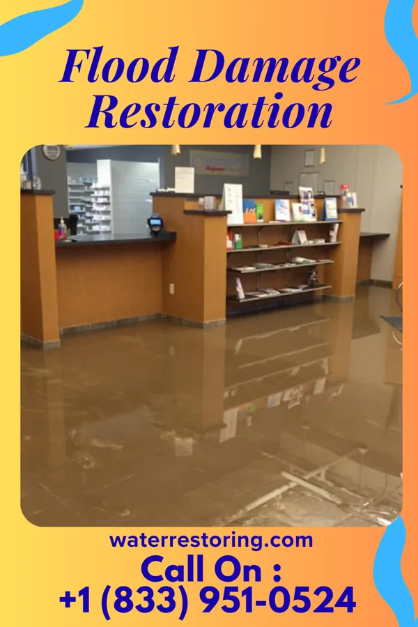 Flood Damage Restoration in Village of Four Seasons, MO