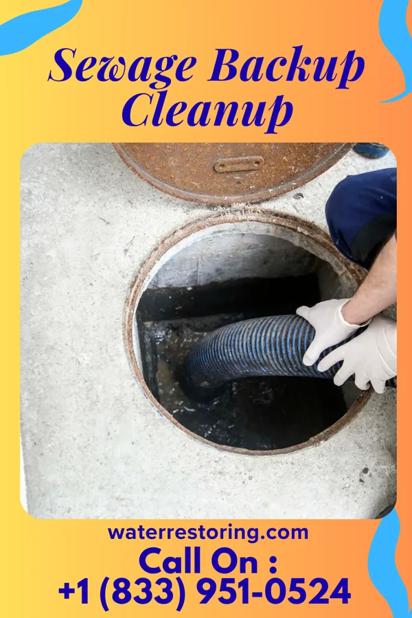 Sewage Backup Cleanup in Village of Four Seasons, MO