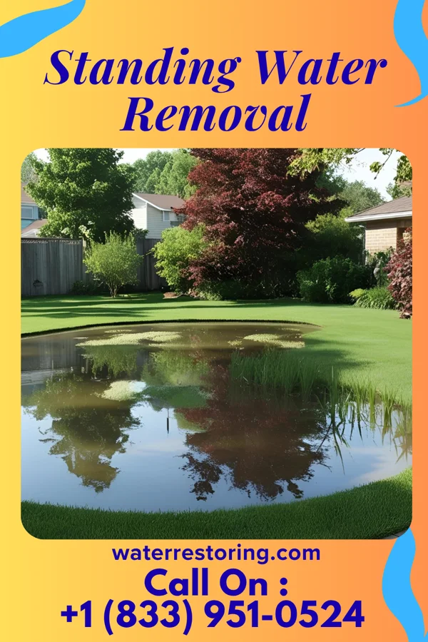 Standing Water Removal in Village of Four Seasons, MO